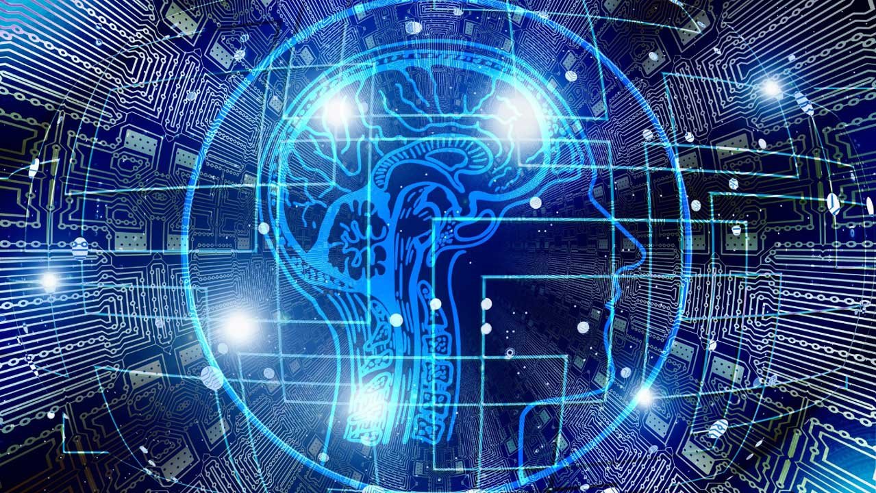 The Second Brain: How Gut Health Influences the Mind